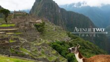 Avenue Two Travel photo of mountain region with an exotic animal.
