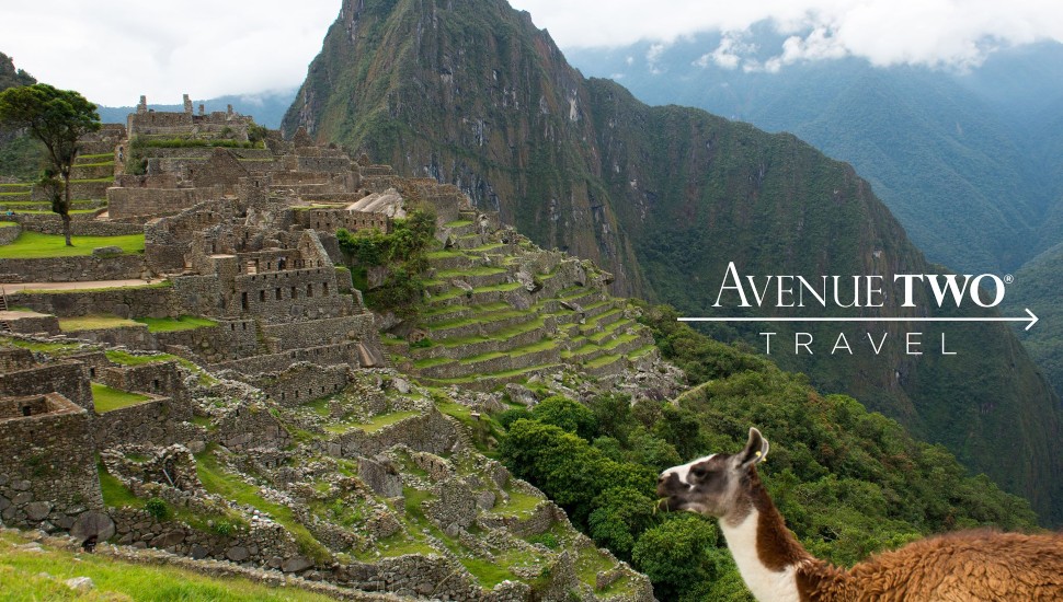 Avenue Two Travel photo of mountain region with an exotic animal.