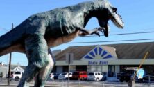 A dinosaur statue overlooking a converted Wawa store, a business called Beach Bums.