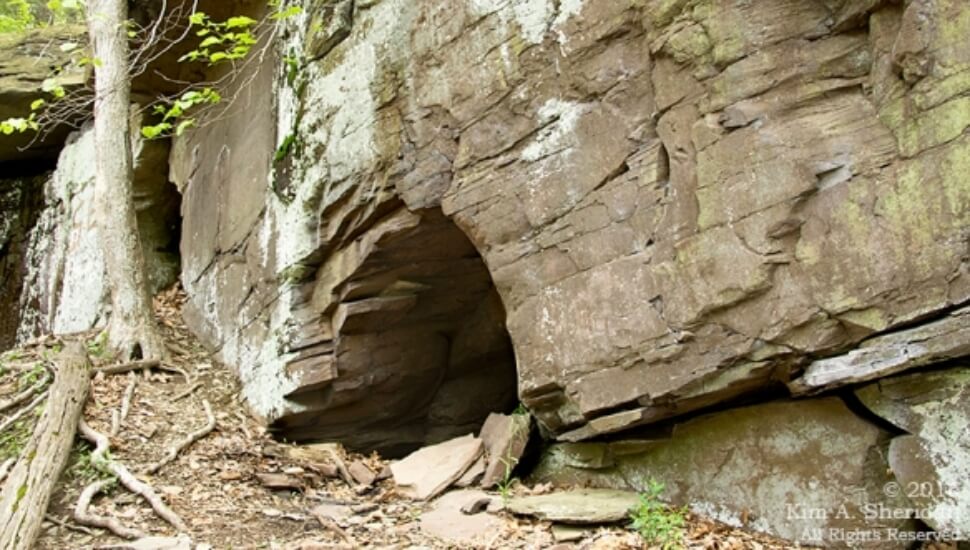 Doans Cove in Bucks County