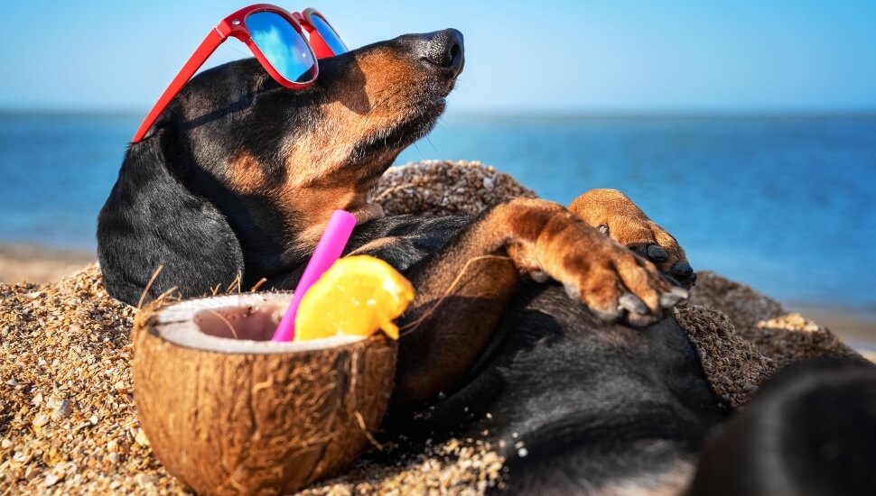 DELCO Today is on Vacation this Week; We’ll Be Back on Monday
