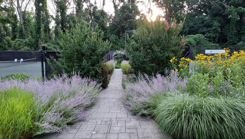 A view of the pollinator garden at Aronimink Golf Club