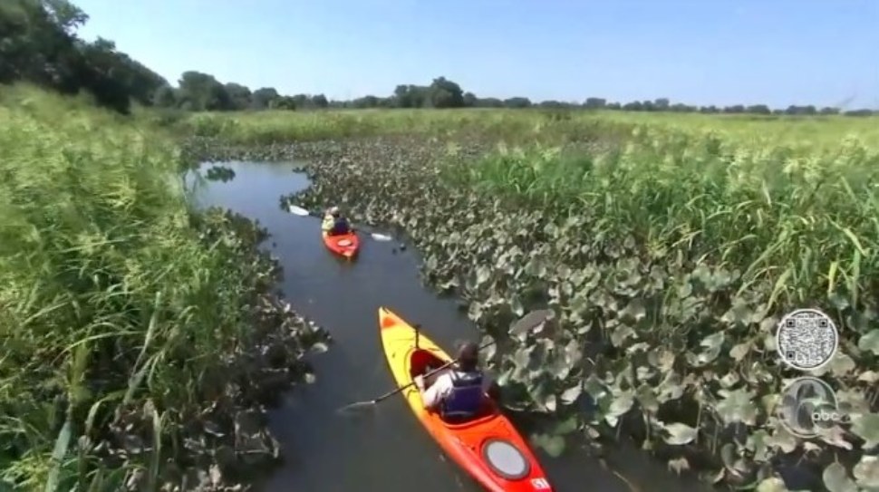 John Heinz Wildlife Refuge in Tinicum Celebrates 50 Years