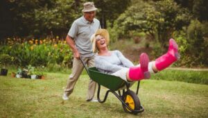 A retired gentleman pushing a retired woman in a wheelbarrow in a yard.