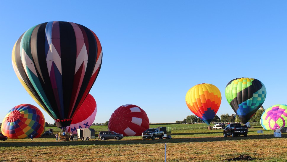 balloons in a field