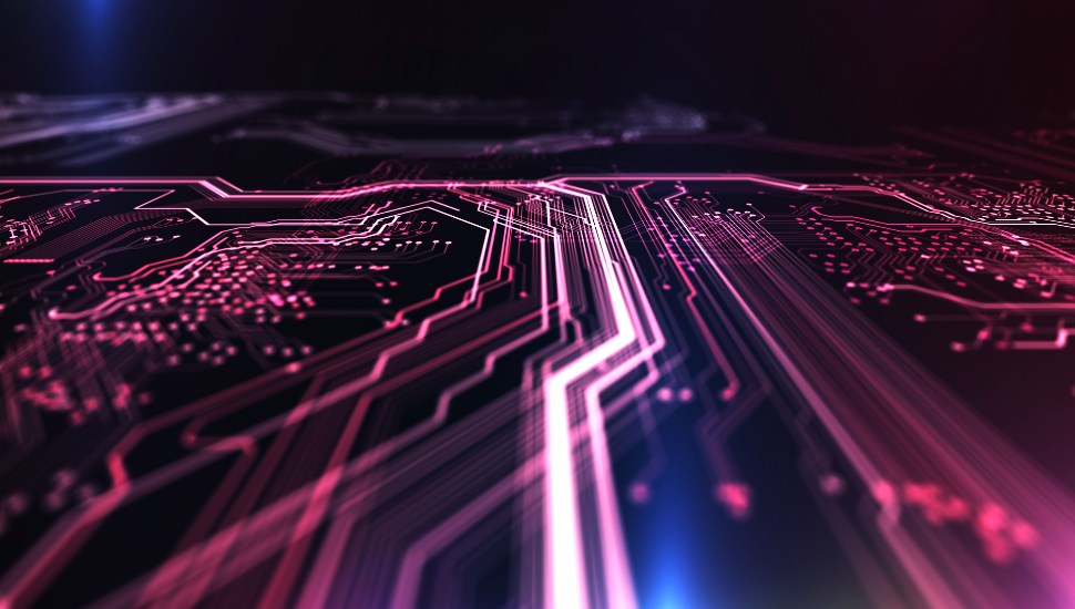fuschia lines