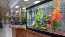 A large fish tank in the common area at SCI Chester prison.