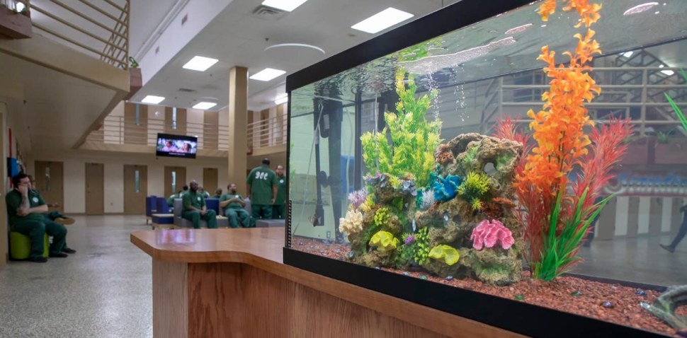 A large fish tank in the common area at SCI Chester prison.