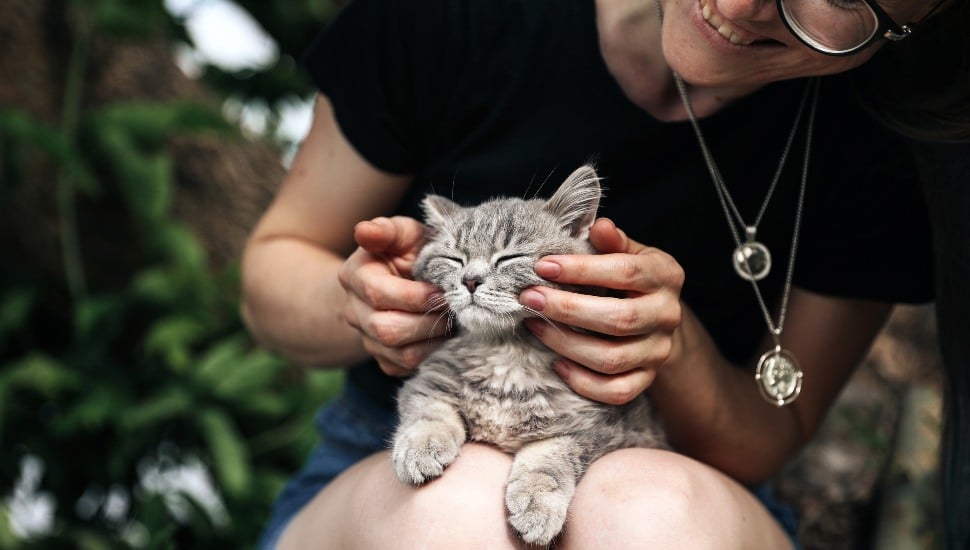 cat lovers