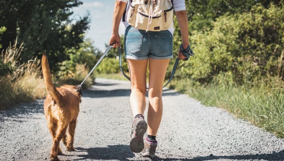 A hiker is out with her dog along the trail
