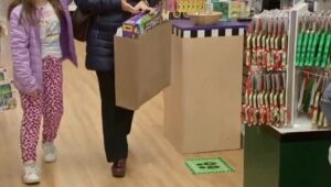 A paper bag replaces plastic during shopping