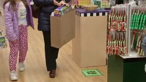 A paper bag replaces plastic during shopping