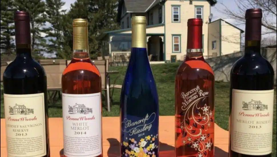 Five bottles of wine on a table at Penns Woods Winery