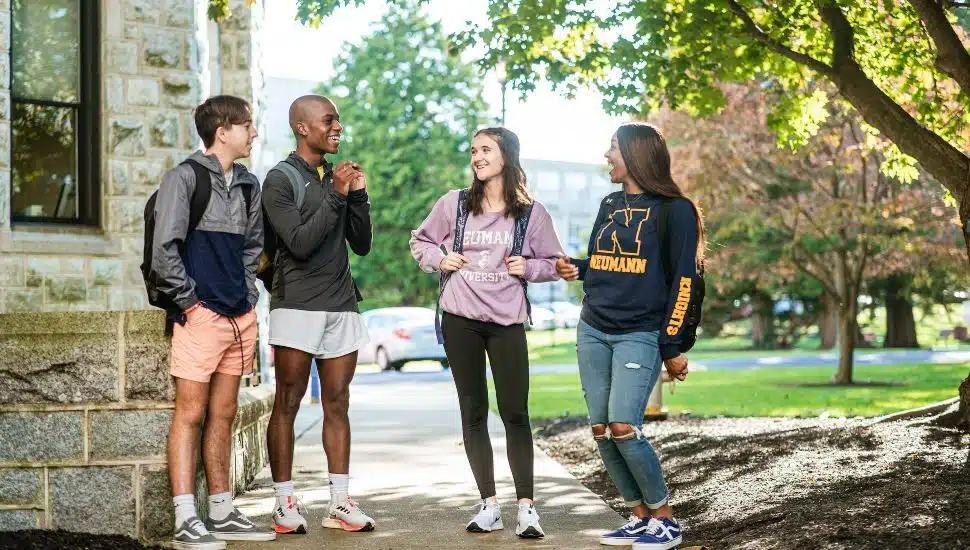 Neumann University students gathered together and talking on a campus walkway.