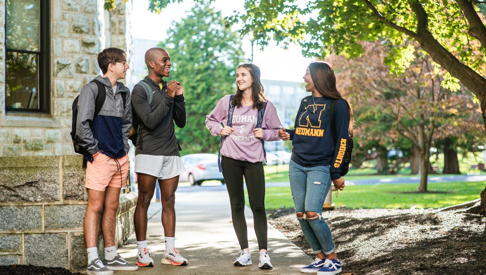Neumann University students gathered together and talking on a campus walkway.