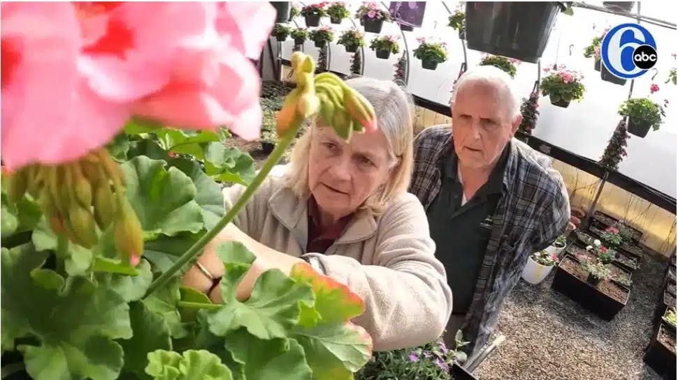 Rosemary and Chuck Miller tending to a flower in the greenhouse
