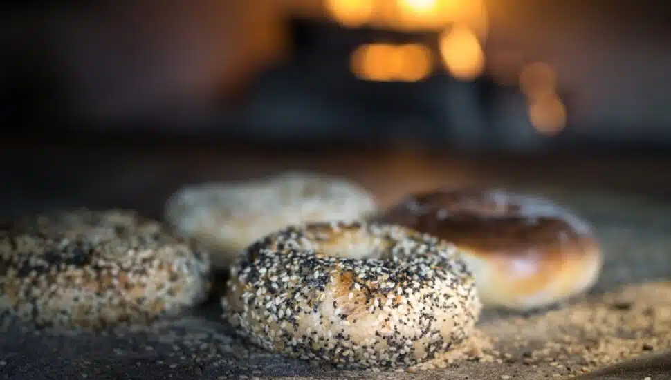 A tray with several different bagels