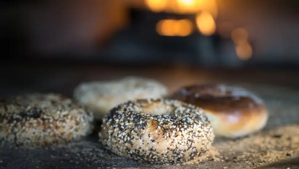 A tray with several different bagels