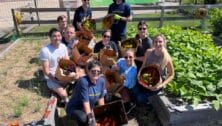 The organic community garden at Subaru Park has yielded more than 5,000 pounds of produce for food relief organizations