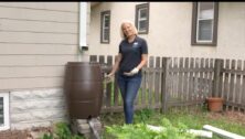 rain barrel