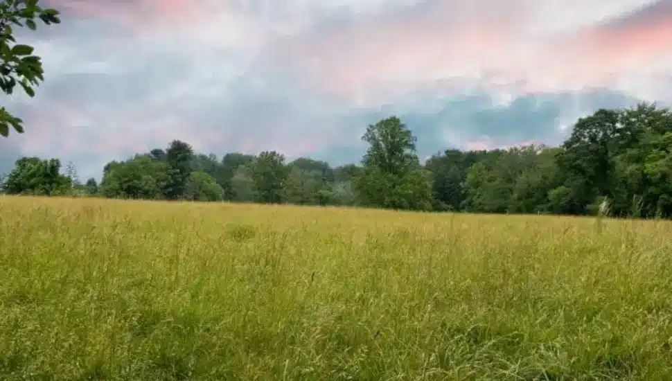 Open land at Valleybrook and Smith bridge roads in Chester Heights.
