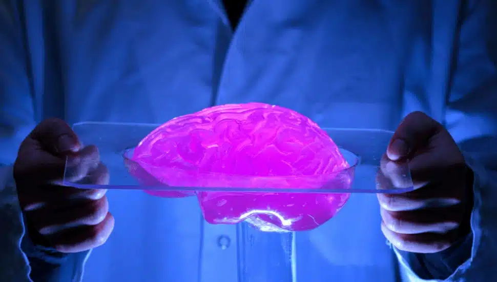 Villanova Professor’s ‘Smart Brain’ Could Hold Head Injury Breakthroughs