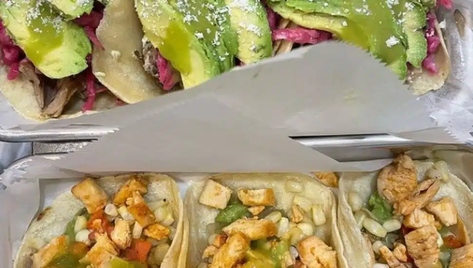 Two tacos from Jaco Juice and Taco Bar