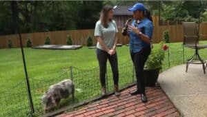 Jordan talks with a reporter from Fox 29 about her Glen Mills pet service business.