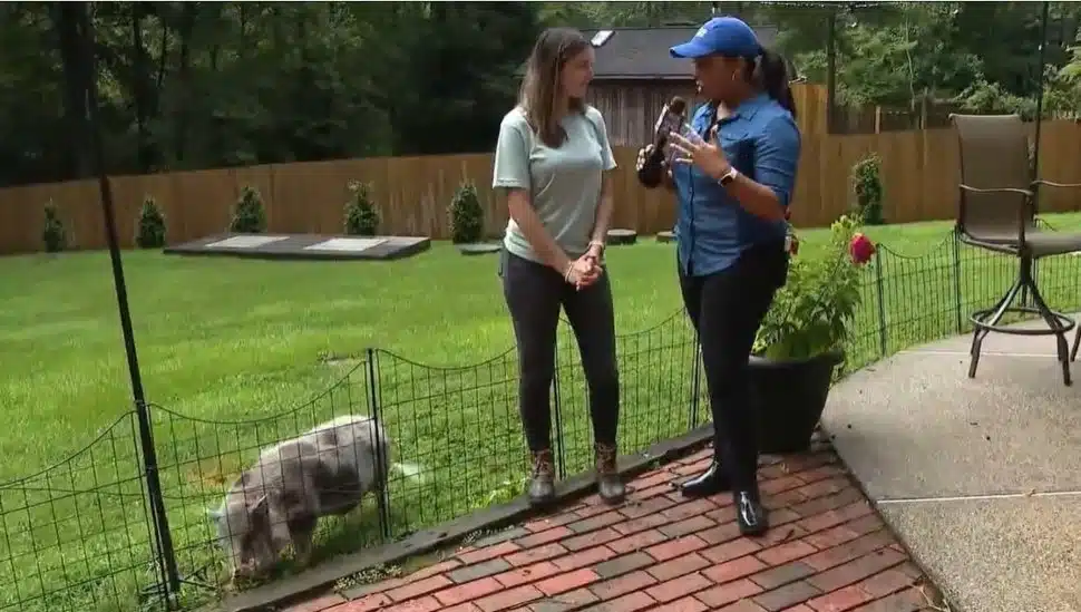 Jordan talks with a reporter from Fox 29 about her Glen Mills pet service business.