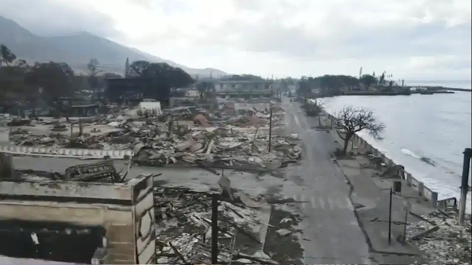 Lansdowne Volunteer Travels to Maui to Help in Fire Disaster