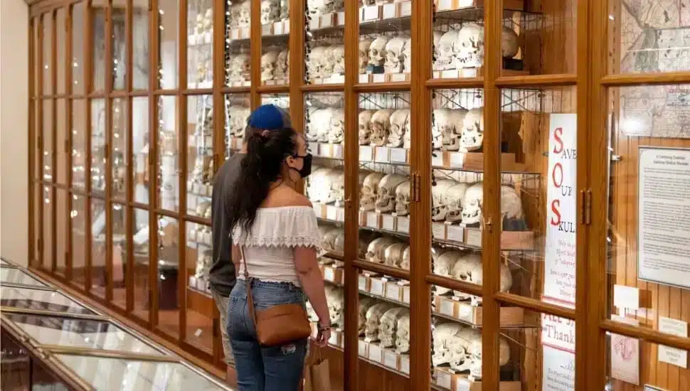 Visitors look at a collection of skulls at the Mütter Museum.