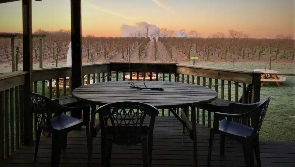 For tourists and residents alike, there is an abundance of wineries to choose from, especially in Chester County.