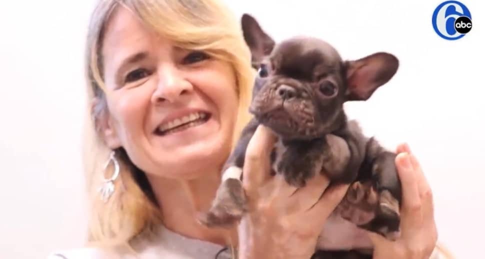Jill Speckman of Drexel Hill, founder of Delco Dawgs holds a dog.