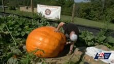 Former Philadelphia Eagles defensive end Chris Long recruited Ryan Cook, a West Virginia giant pumpkin farmer, to help him break a unique Delaware River world record.