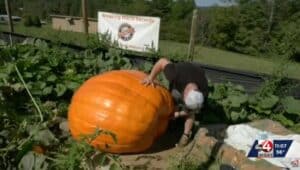 Former Philadelphia Eagles defensive end Chris Long recruited Ryan Cook, a West Virginia giant pumpkin farmer, to help him break a unique Delaware River world record.