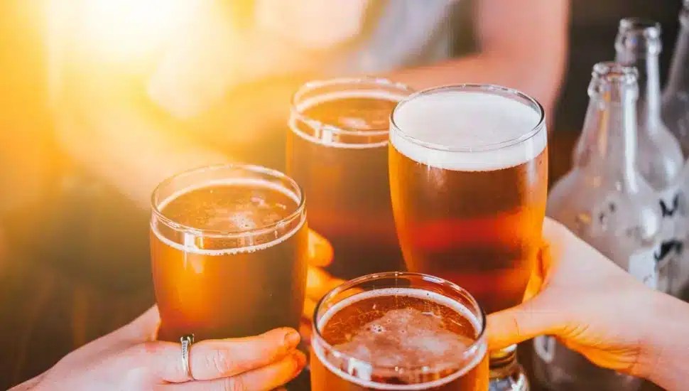 Two people are holding glasses full of beer.