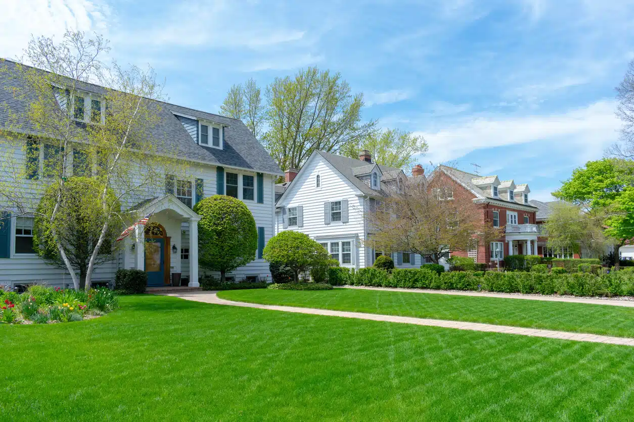 A row of homes with lawns in a suburban neighborhood.