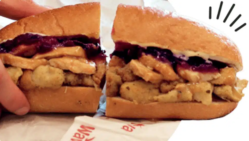 The Gobbler, a seasonal favorite turkey hoagie from Wawa.