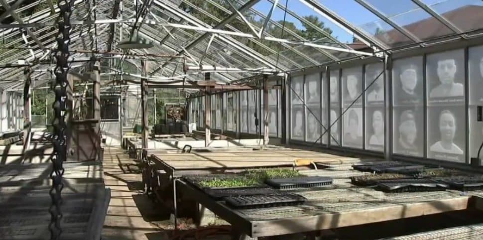 The House of the Living greenhouse which has panels of glass depicting the victims of gun violence.