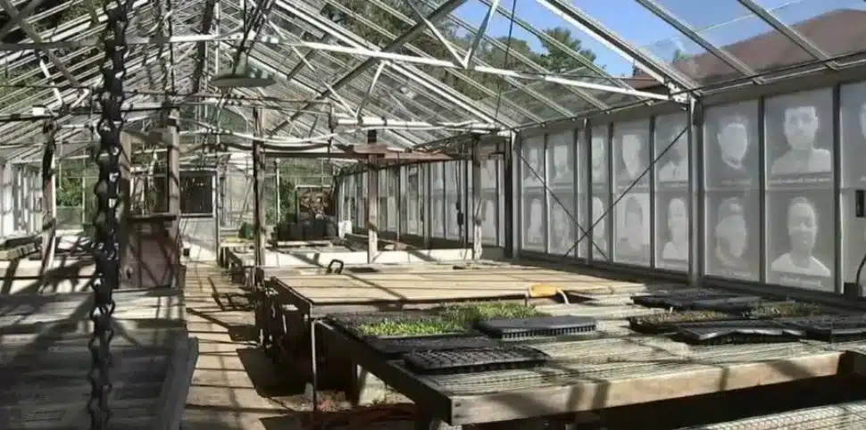 The House of the Living greenhouse which has panels of glass depicting the victims of gun violence.