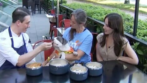 Center City’s Urban Farmer is giving dog owners the chance to take their furry friends to lunch with them, thanks to a new dog-friendly menu.