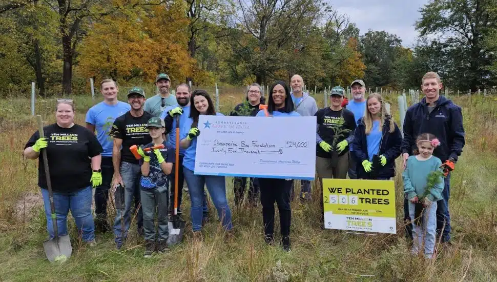 group of volunteers after planting trees