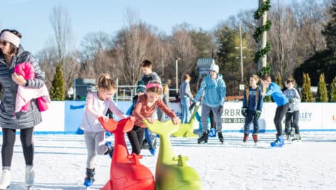 Ice skaters enjoy their time at Flight on Ice in Newtown Square.
