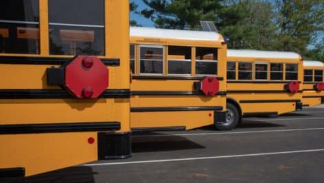 A group of school buses.