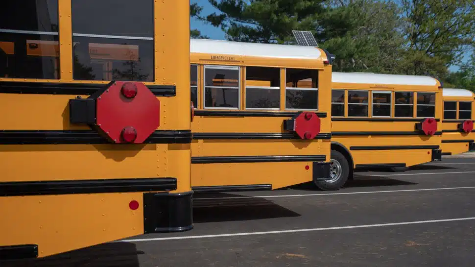 A group of school buses.