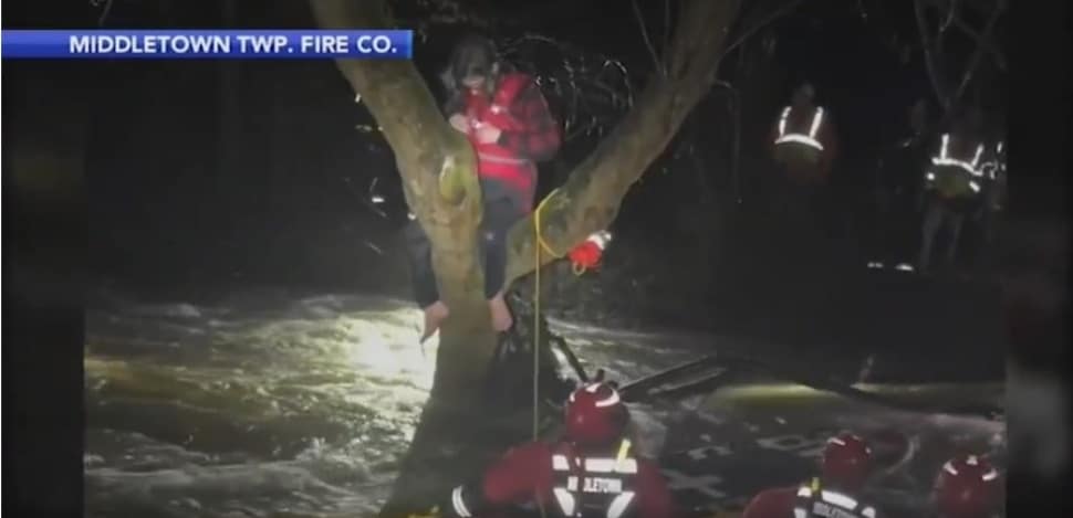 Delaware County's new water rescue task force works to free Joel Bryant from a tree where he escaped flooding waters in Upper Chichester.