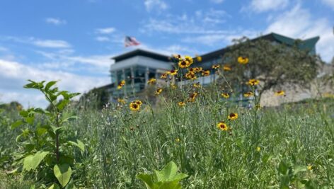 Pennsylvania Turnpike’s Pollinator Habitat Pilot Project recently recognized with the Diamond Award in Environmental Engineering.