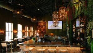 As we head further into 2024, there is a whole crop of new restaurants offering fun culinary experiences in Montgomery County like The Cage, which is a retro cocktail bar and restaurant that exudes a playful birdcage motif.