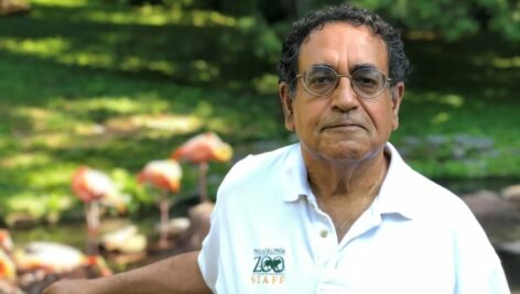 Vik Dewan recently stepped down after a 16-year tenure as CEO of the Philadelphia Zoo. He's now working to help nonprofits.
