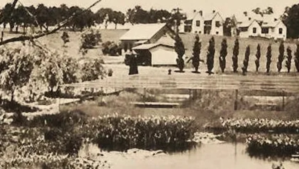 1920's era illustration of The Wistar Institute labs on Red Cedar Hill